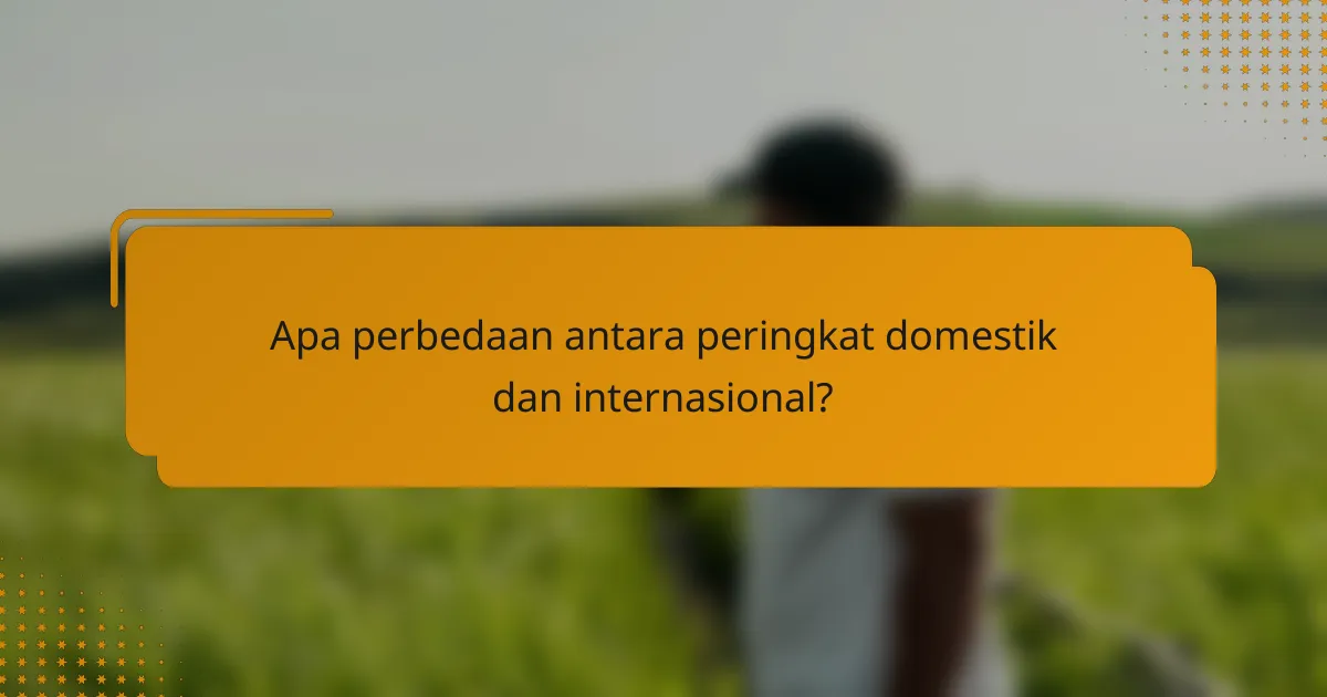 Apa perbedaan antara peringkat domestik dan internasional?