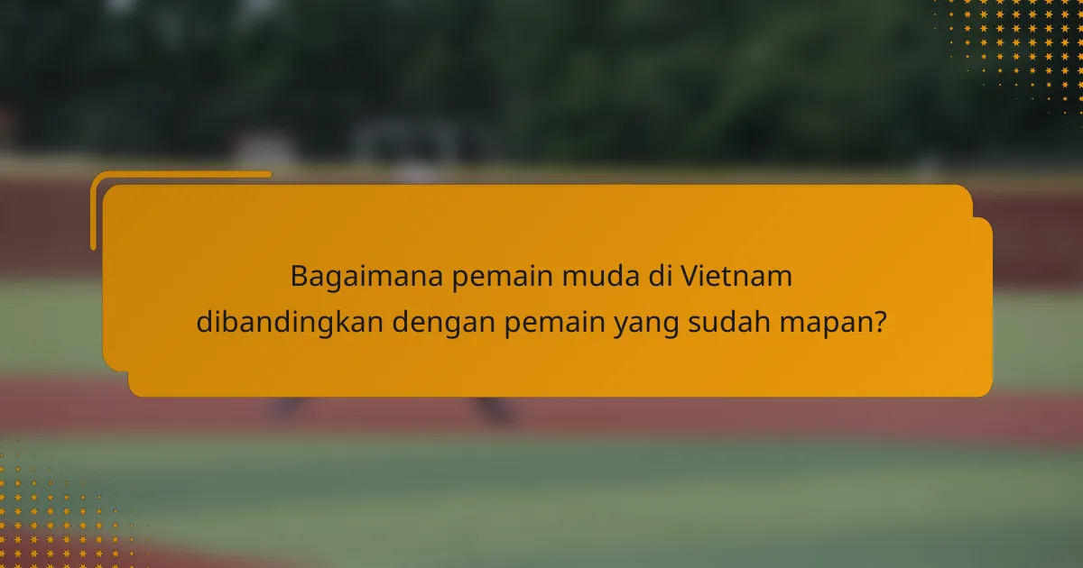 Bagaimana pemain muda di Vietnam dibandingkan dengan pemain yang sudah mapan?